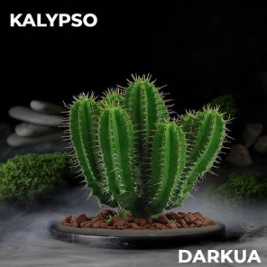Табак DarkUa Kalypso (Алоэ) - 100 грамм
