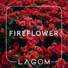 Табак Lagom Fireflower (Цветочно-пряный вкус) - 40 грамм