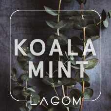 Табак Lagom Koala Mint (Жвачка орбит с эвкалиптом) - 40 грамм