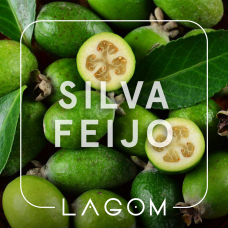 Табак Lagom Silva Feijo (Фейхоа) - 40 грамм