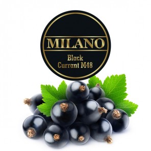 Табак Milano Black Currant M48 (Черная Смородина) - 100 грамм