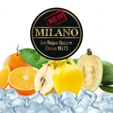 Табак Milano Ice Feijoa Quince Citrus М173  (Лед Фейхоа Айва Цитрус) - 50 грамм