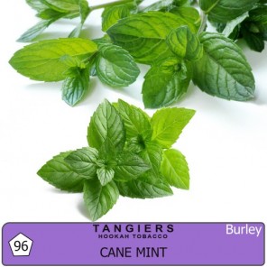 Табак Tangiers Burley Cane Mint (Тростниковая Мята) - 50 грамм (Фасовка)