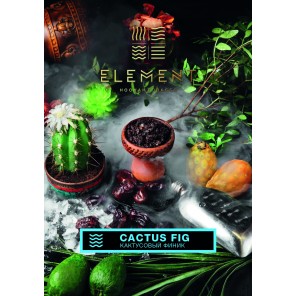 Табак Element Вода Cactus Fig (Кактусовый Финик) - 100 грамм