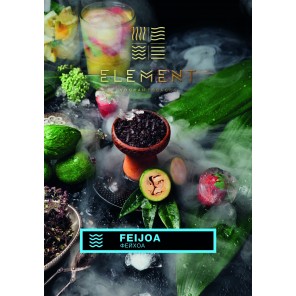 Табак Element Вода Feijoa (Фейхоа) - 100 грамм