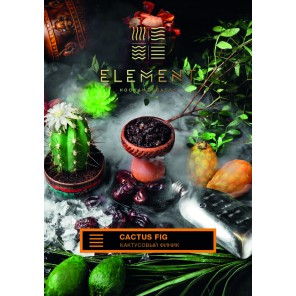 Табак Element Земля Cactus Fig (Кактусовый Финик) - 100 грамм