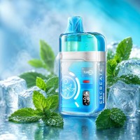 Зимняя Мята (Winter Mint) Elf Bar EBCREATE BC PRO 40000 тяг