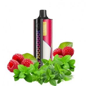 Малина Мята (Raspberry Mint) ElfBar E-Shisha Luxe 30000 тяг