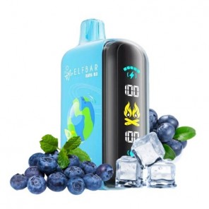 Blueberry Ice (Черника Лёд) – 25000 тяг Ray D3