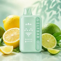 Lemon Lime (Лимон Лайм) – 45000 тяг BC