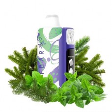 Pine Needle Mint (Хвоя Мята) - 30000 тяг Elf Bar Sweet King